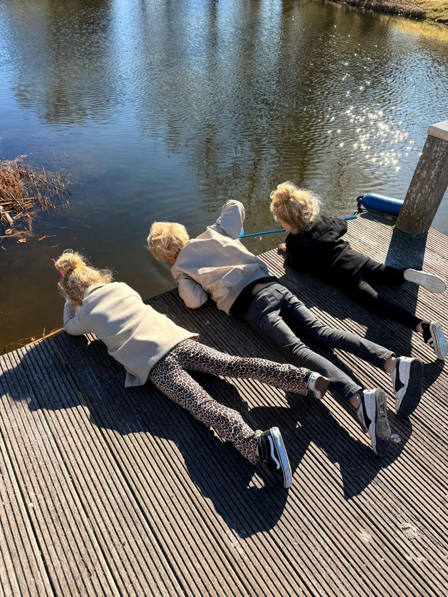 Prachtige Vakantievilla Aan Ijsselmeer Makkum Bagian luar foto